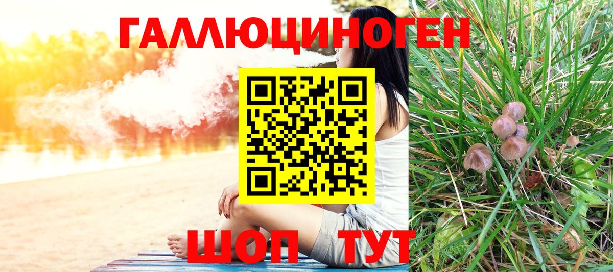 Котовск  Псилоцибиновые грибы Psilocybine cubensis  Вход с VPN 